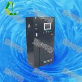 管道式臭氧發(fā)生器